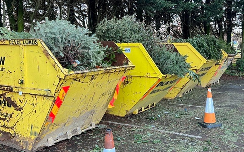 St-Clare-Hospice-Christmas-Tree-Collection