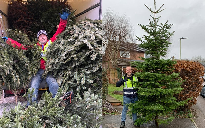 St-Clare-Hospice-Christmas-Tree-Collection