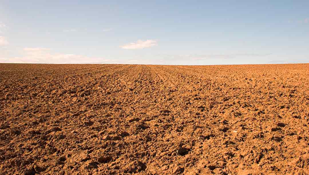 Banner-Dunmow-Contaminated-Soil-02